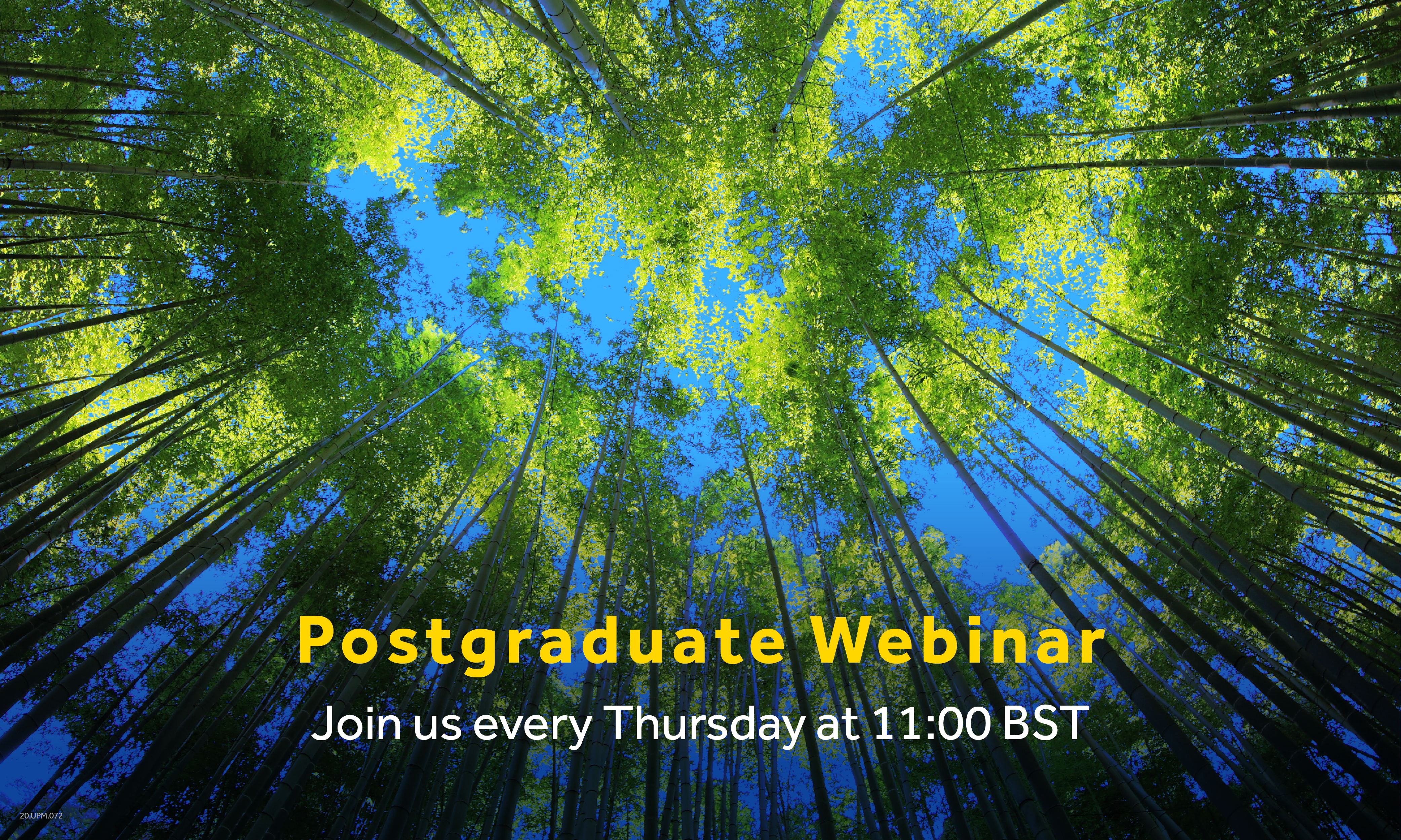 Masters Webinar - How to Grow Your Teamwork & Study Skills Whilst Learning Remotely at Henley