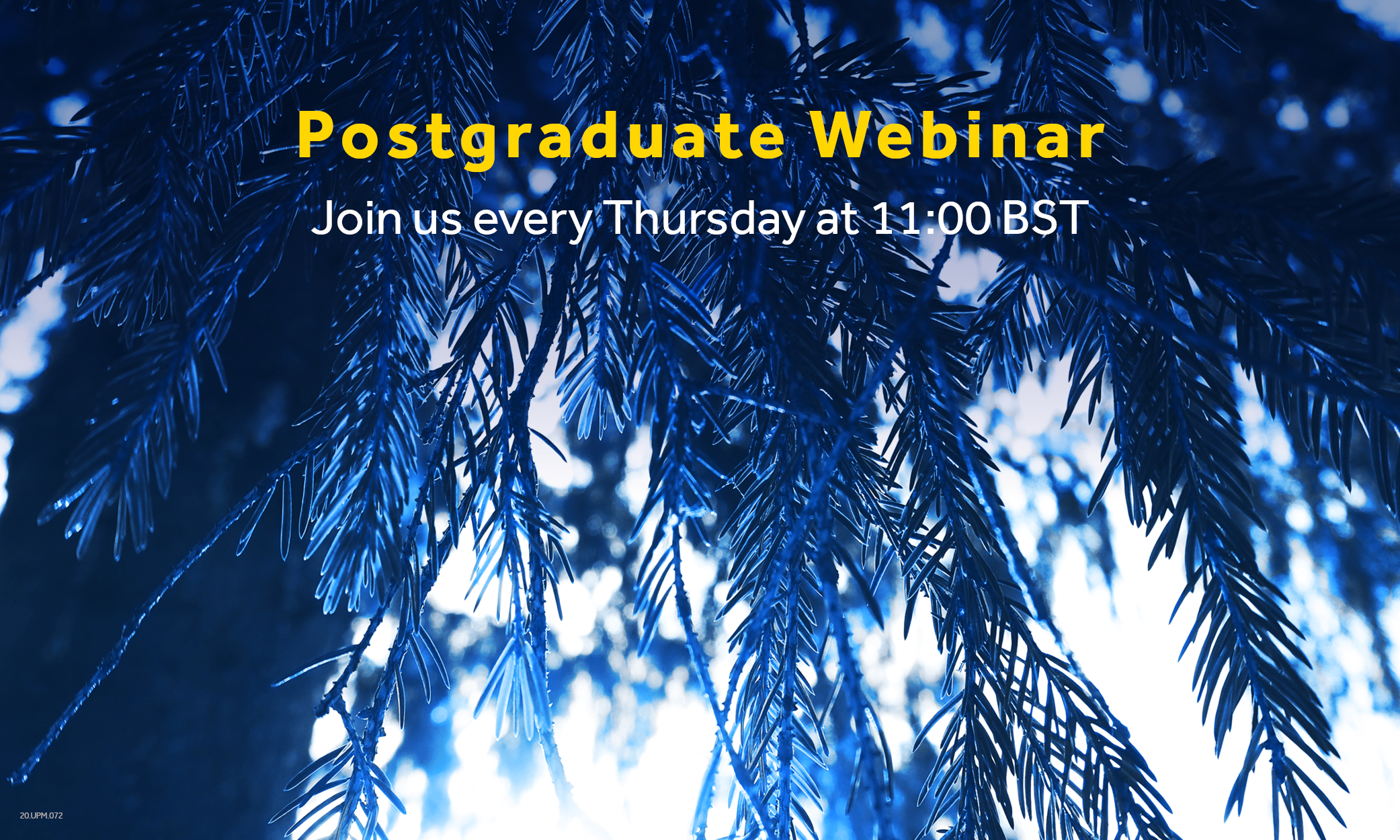 Masters Webinar - How to Navigate a Set of Financial Statements