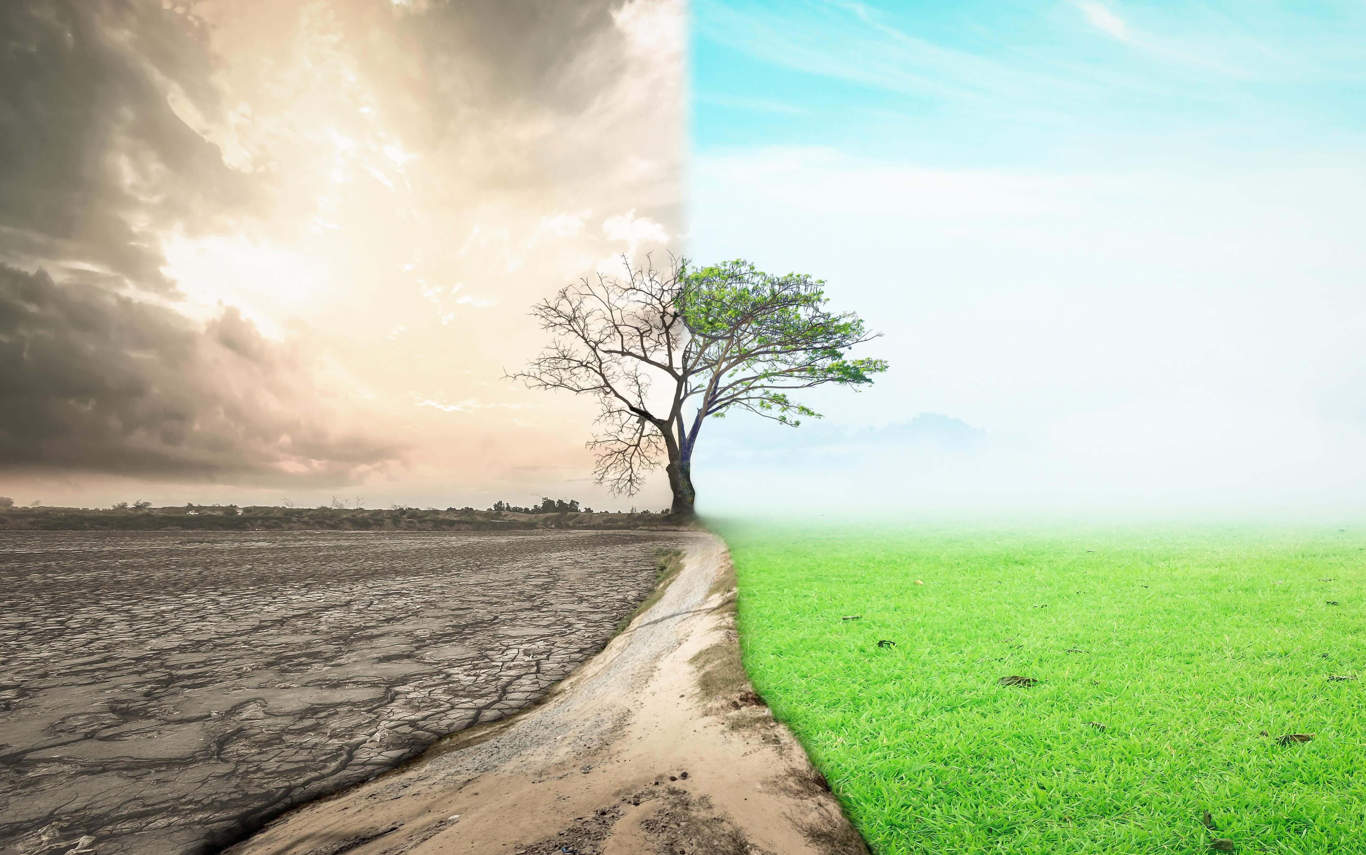 Coaching Webinar - Change Readiness: The Opportunities and Implications