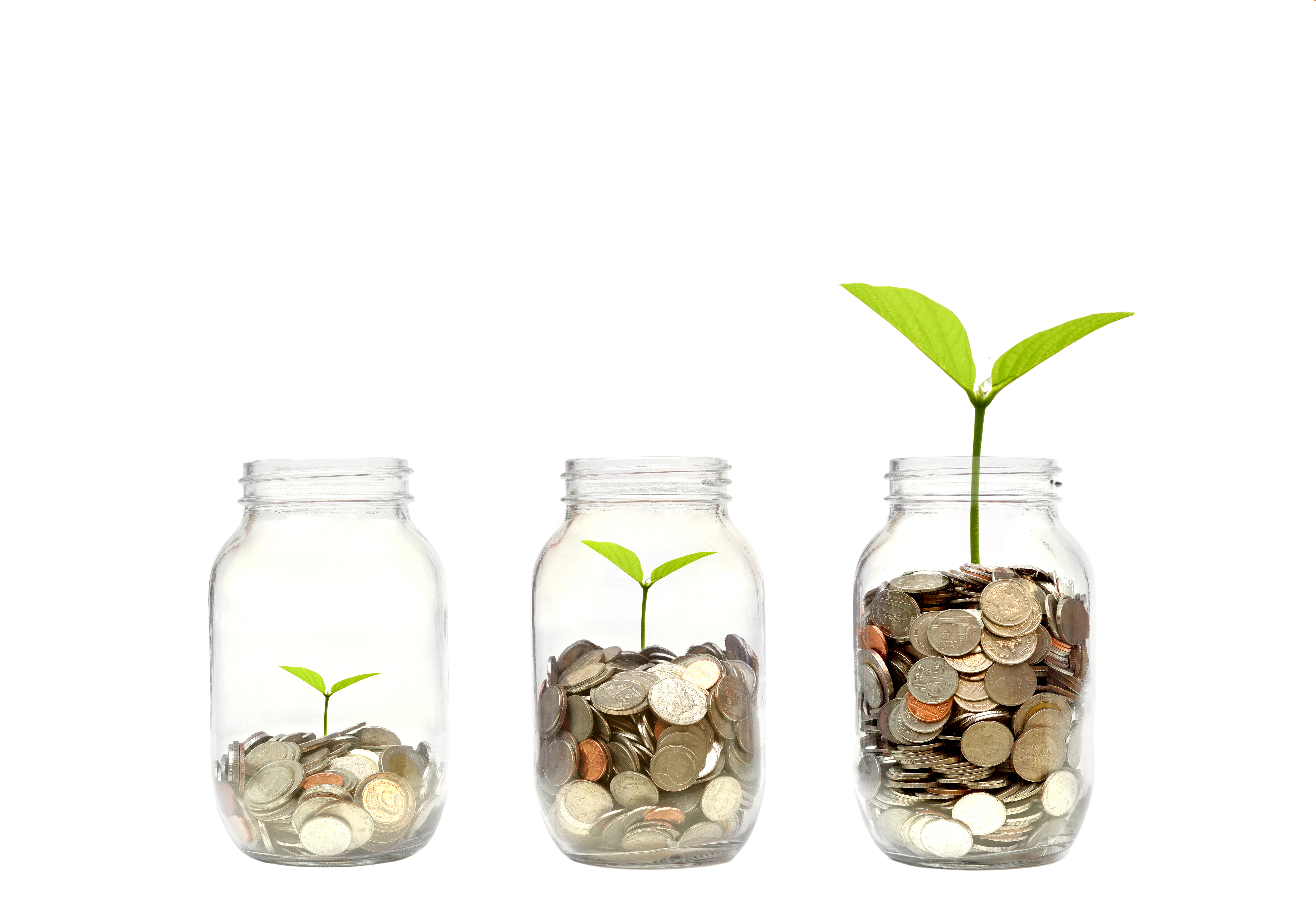 Growing green bonds could help the environment