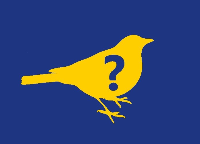 Heads Together and Row: The Ballad of Betty the Bird