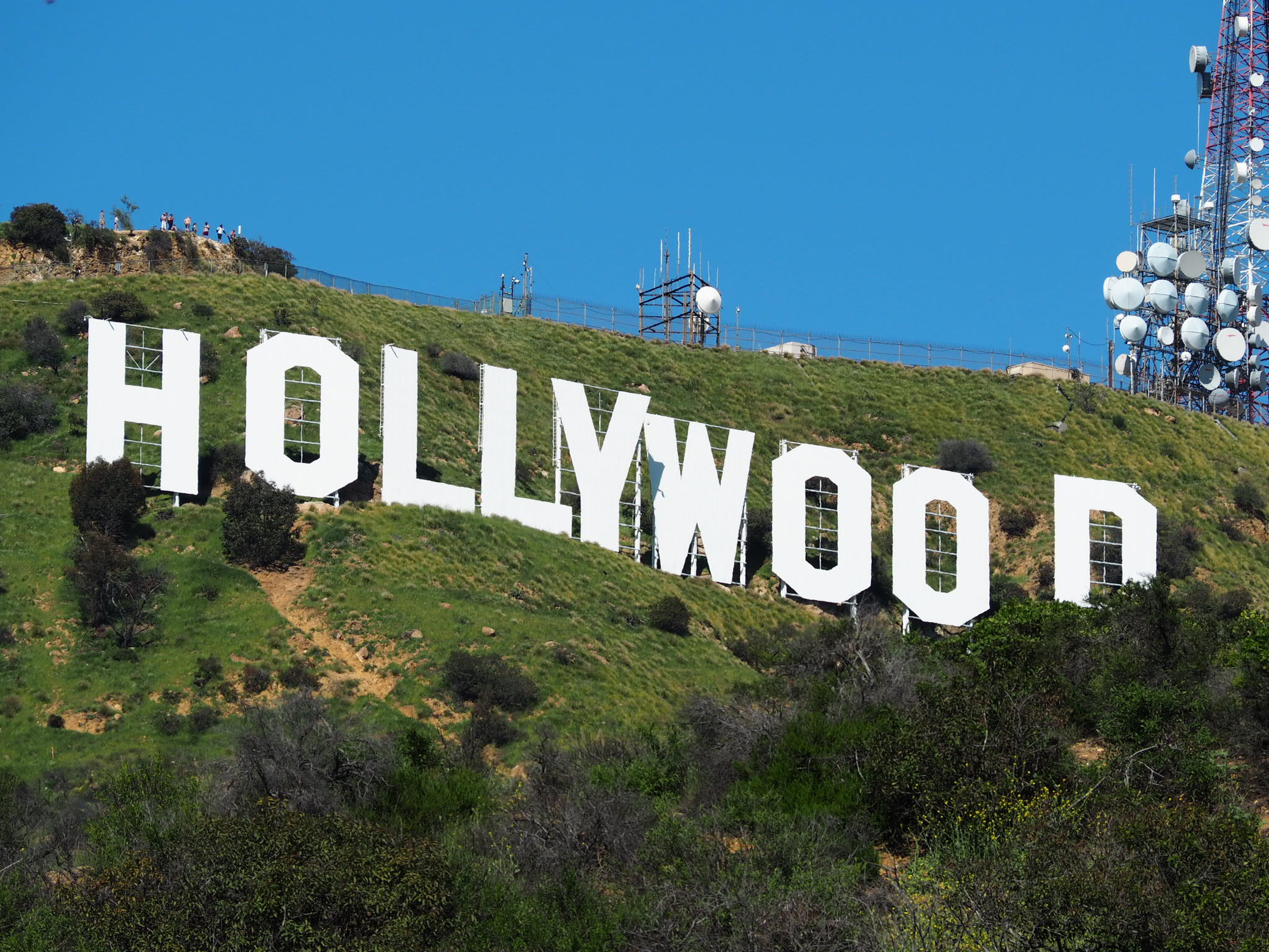 Streaming services: speculative bubble or strategic investment?