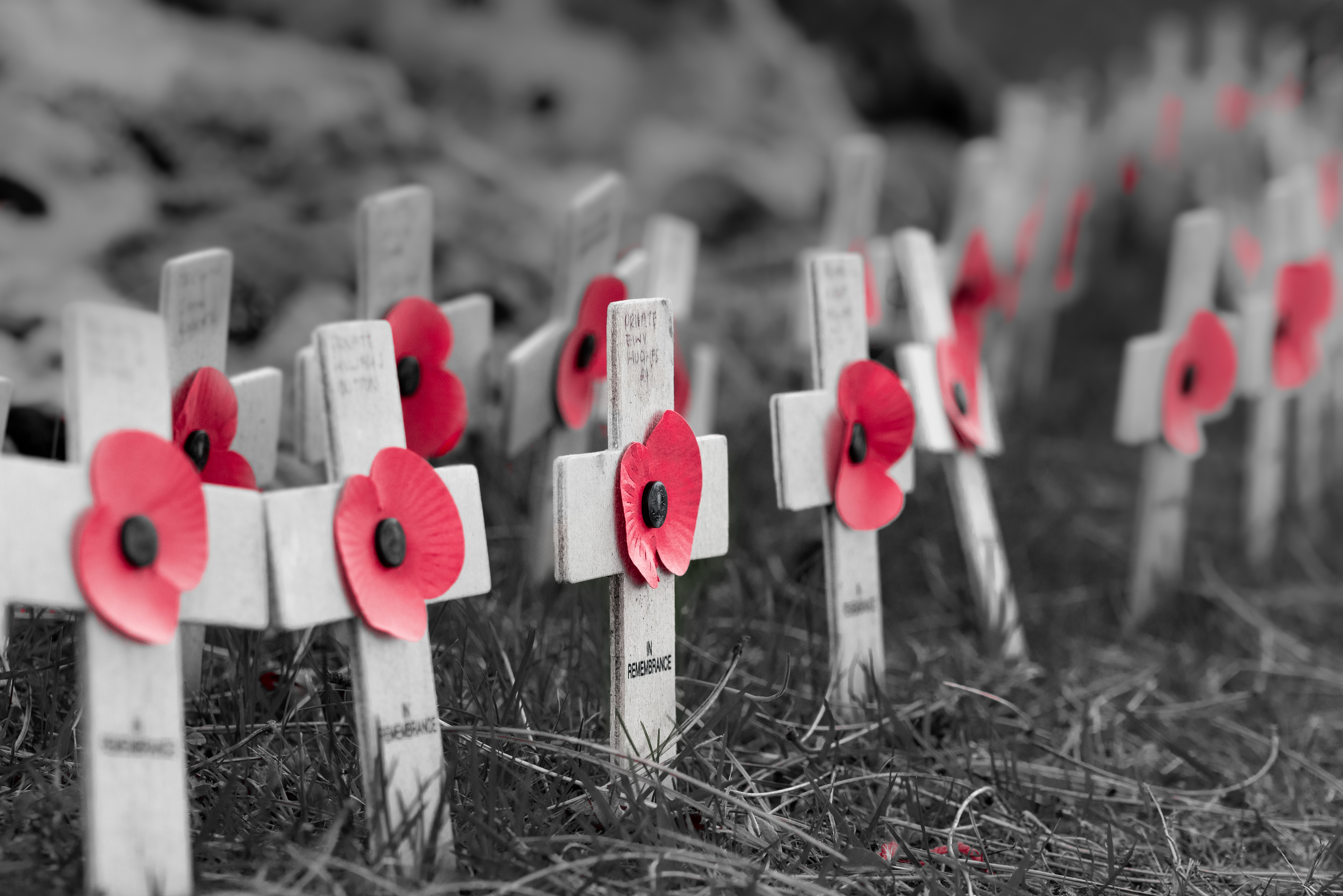 War memorials and ceremonies in organisational memory