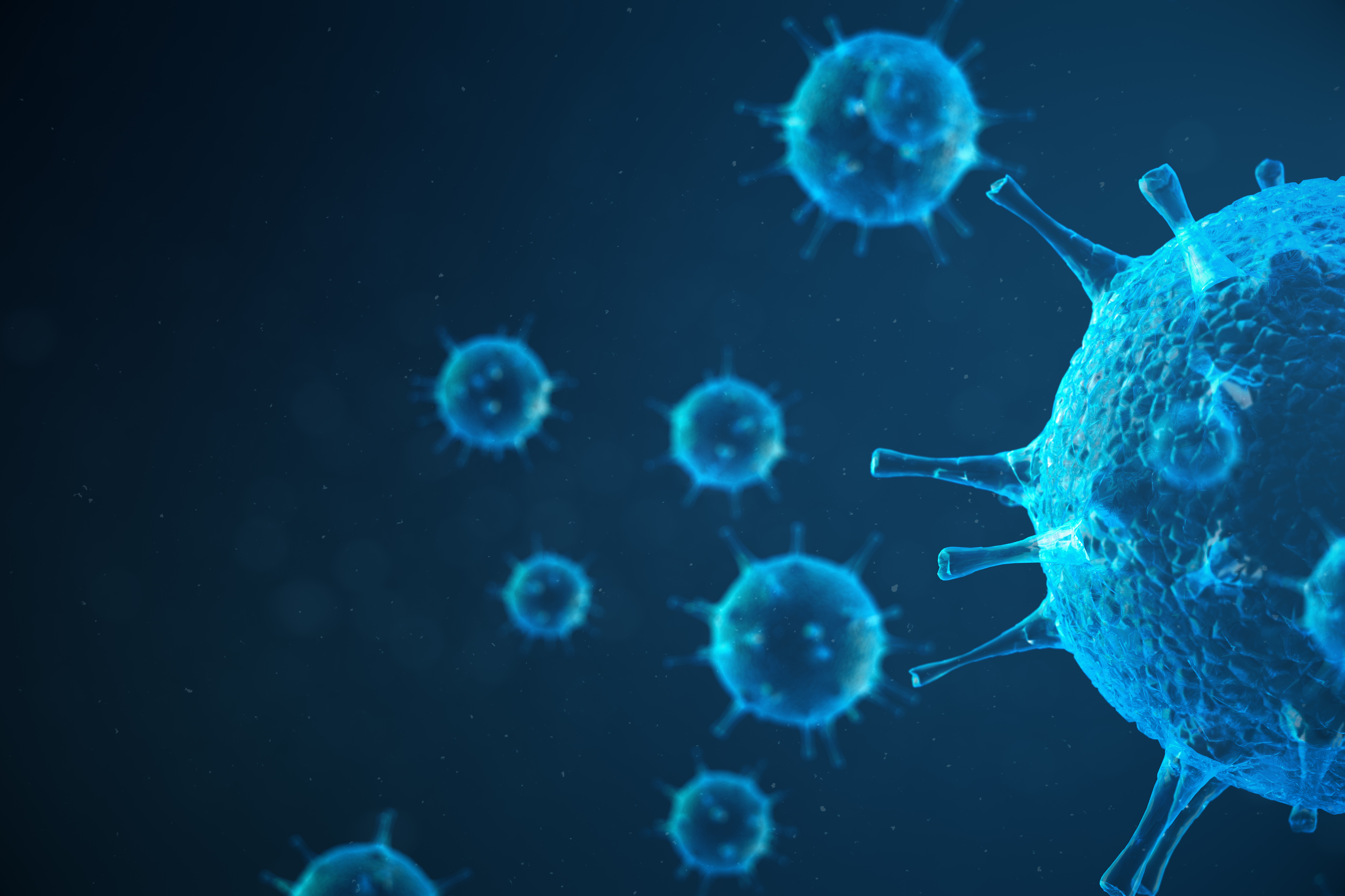 The economics of an epidemic
