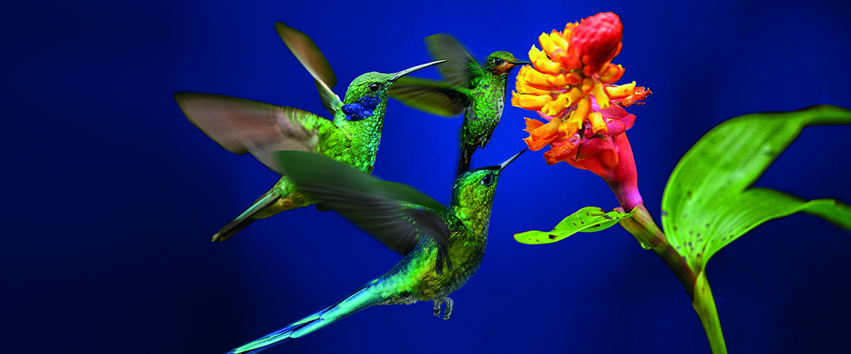 Time for tough love? How to embed real change