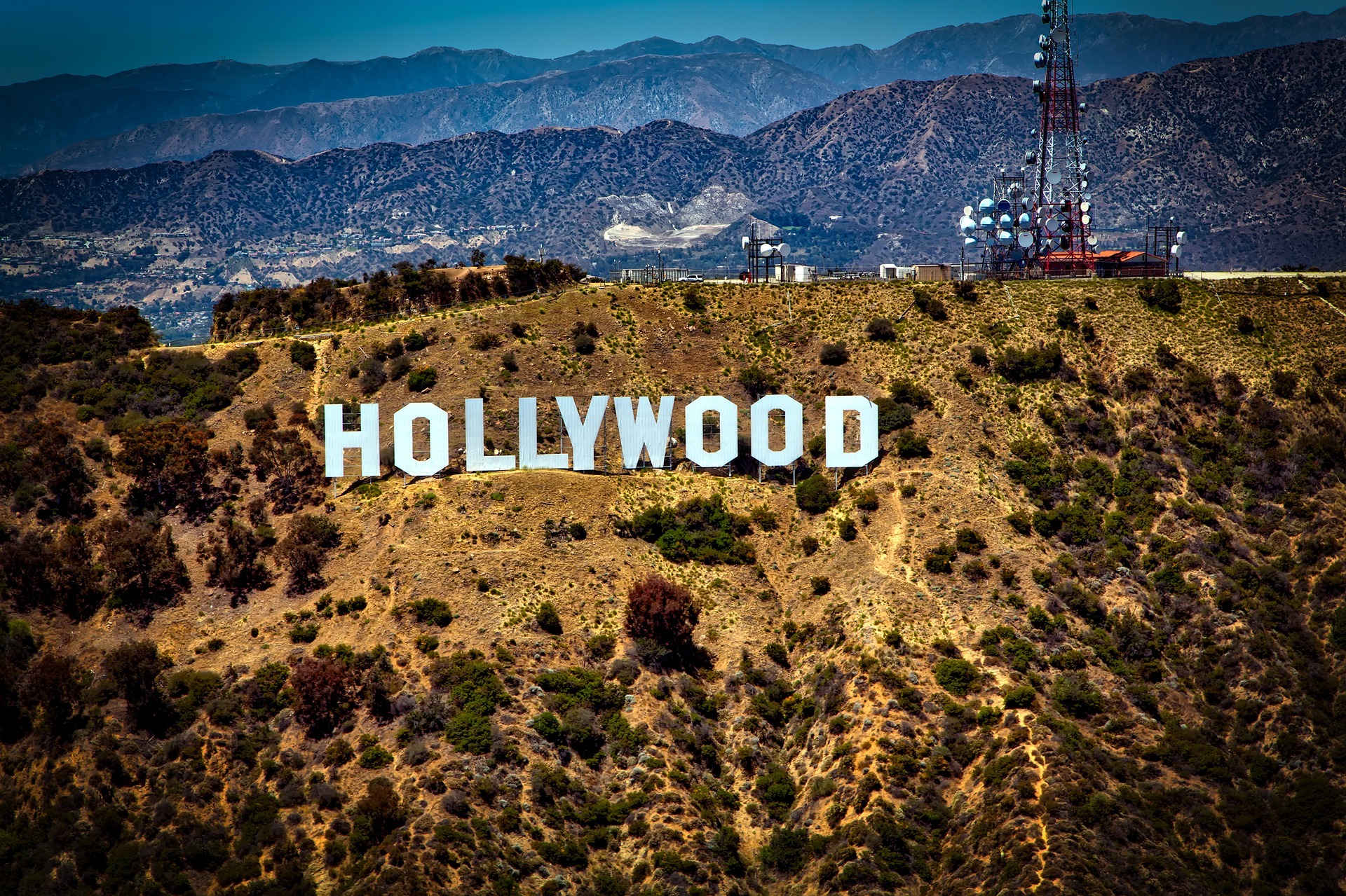 Why are there so many movie sequels?