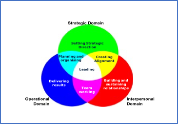 Leadership Three Domains