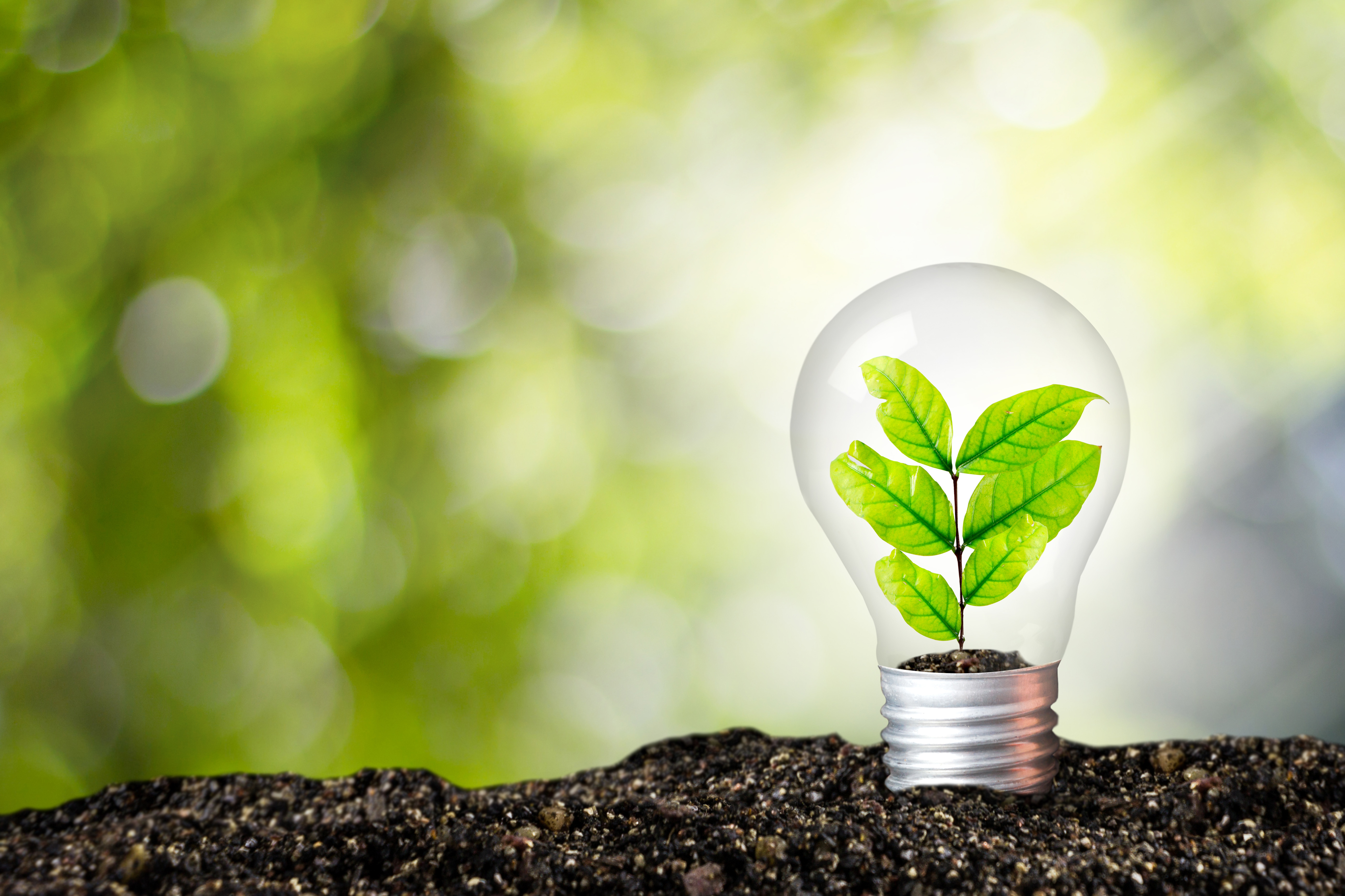 Sustainable business competition opens