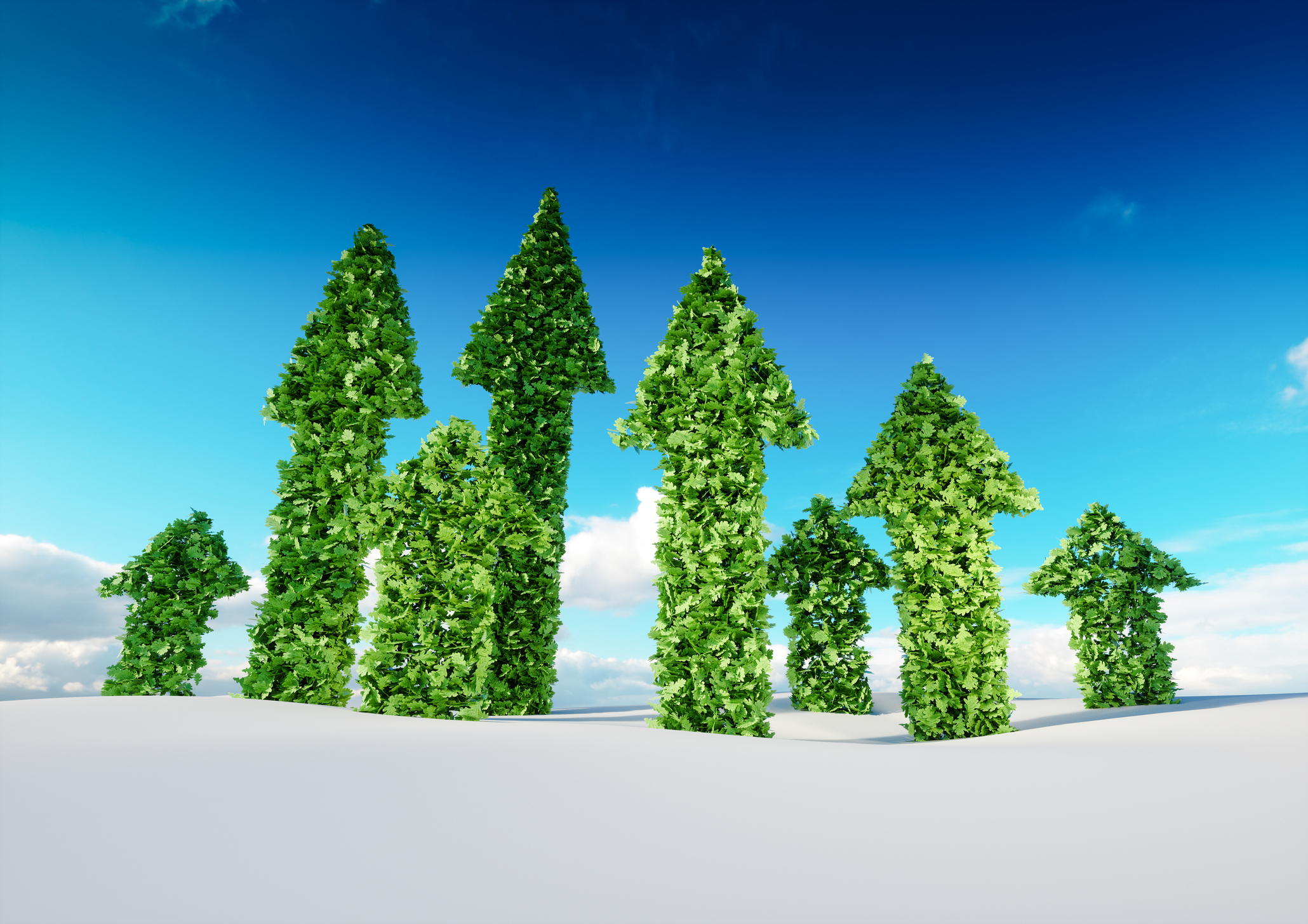 Online Masterclass - Sustainable Leadership NEW