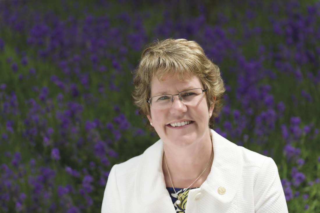 Henley Business School reach out to Board-Ready Women