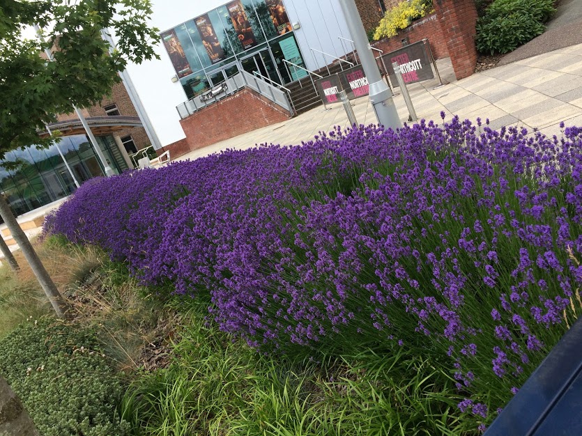 IBS Faculty presented papers at the Business History Conference in Exeter in 2015