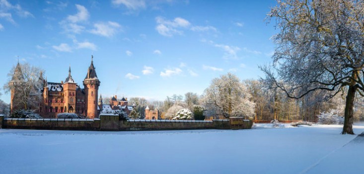 Henley Alumni Association Netherlands New Year Reception
