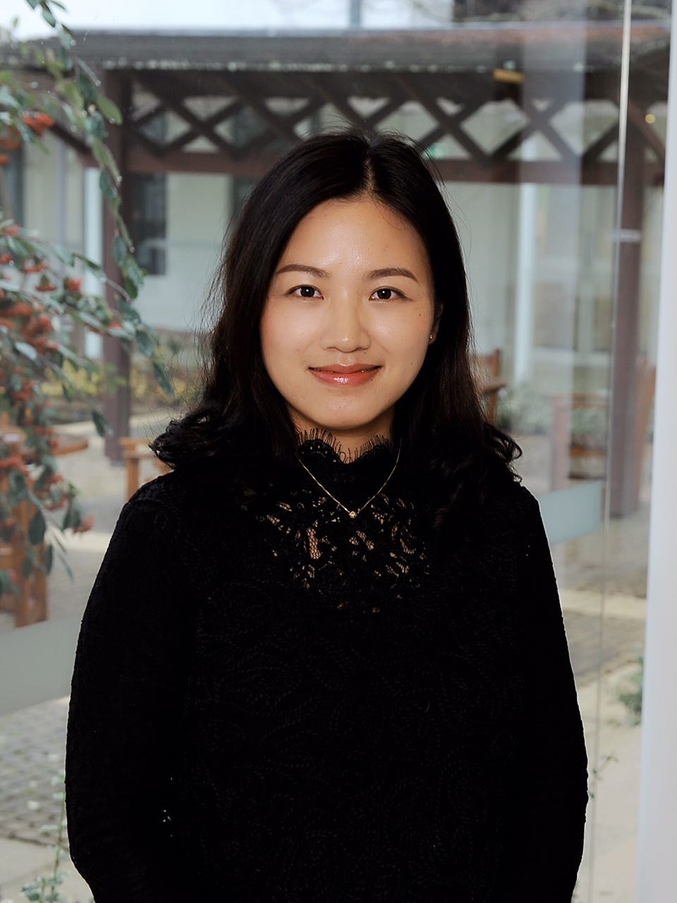 Dr Zhujun Ding