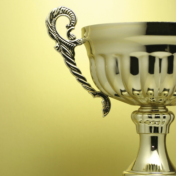 Congratulations to the winners of the Chancellor’s Award 2013!