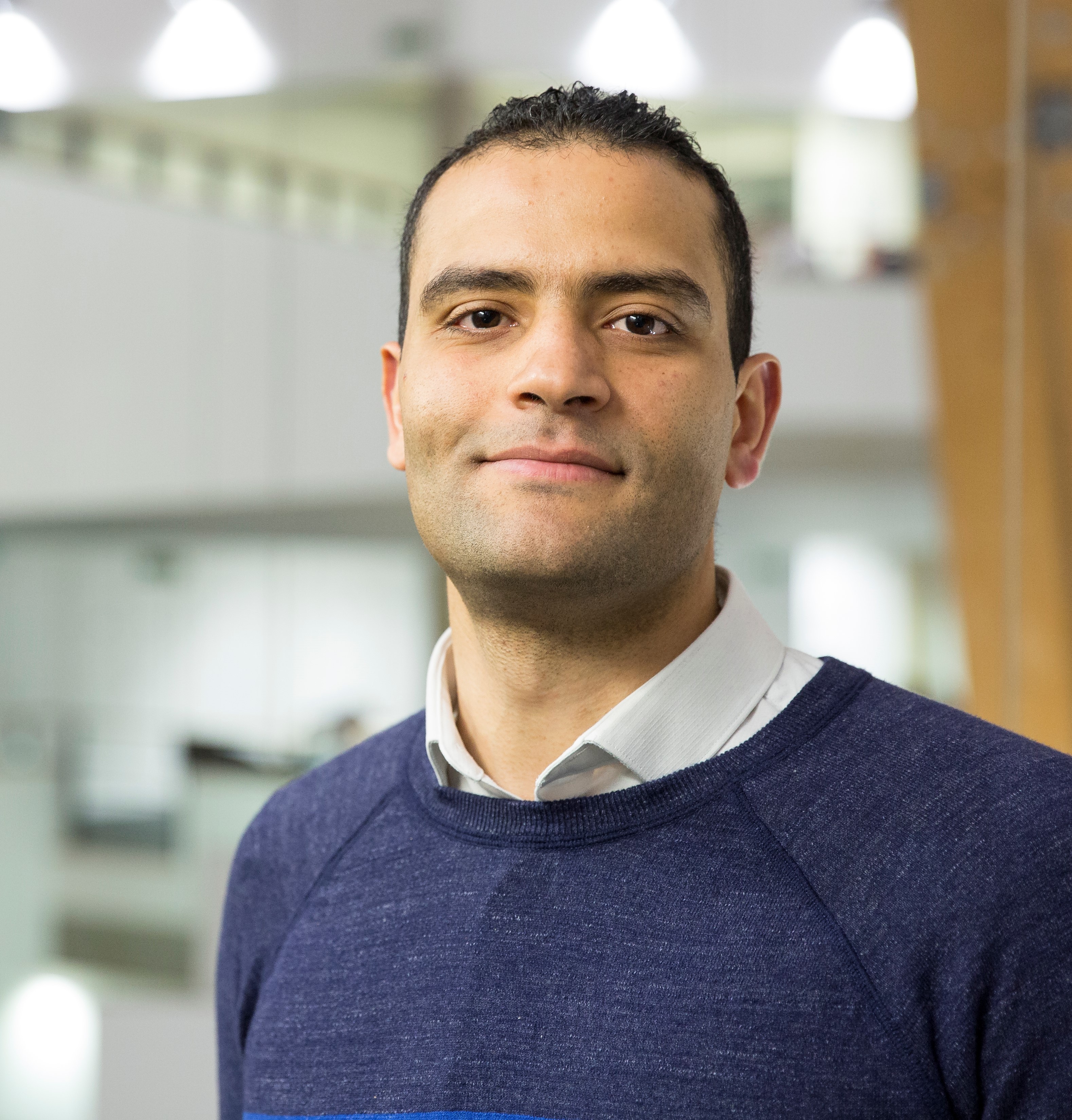Khaled El-Shamandi Ahmed