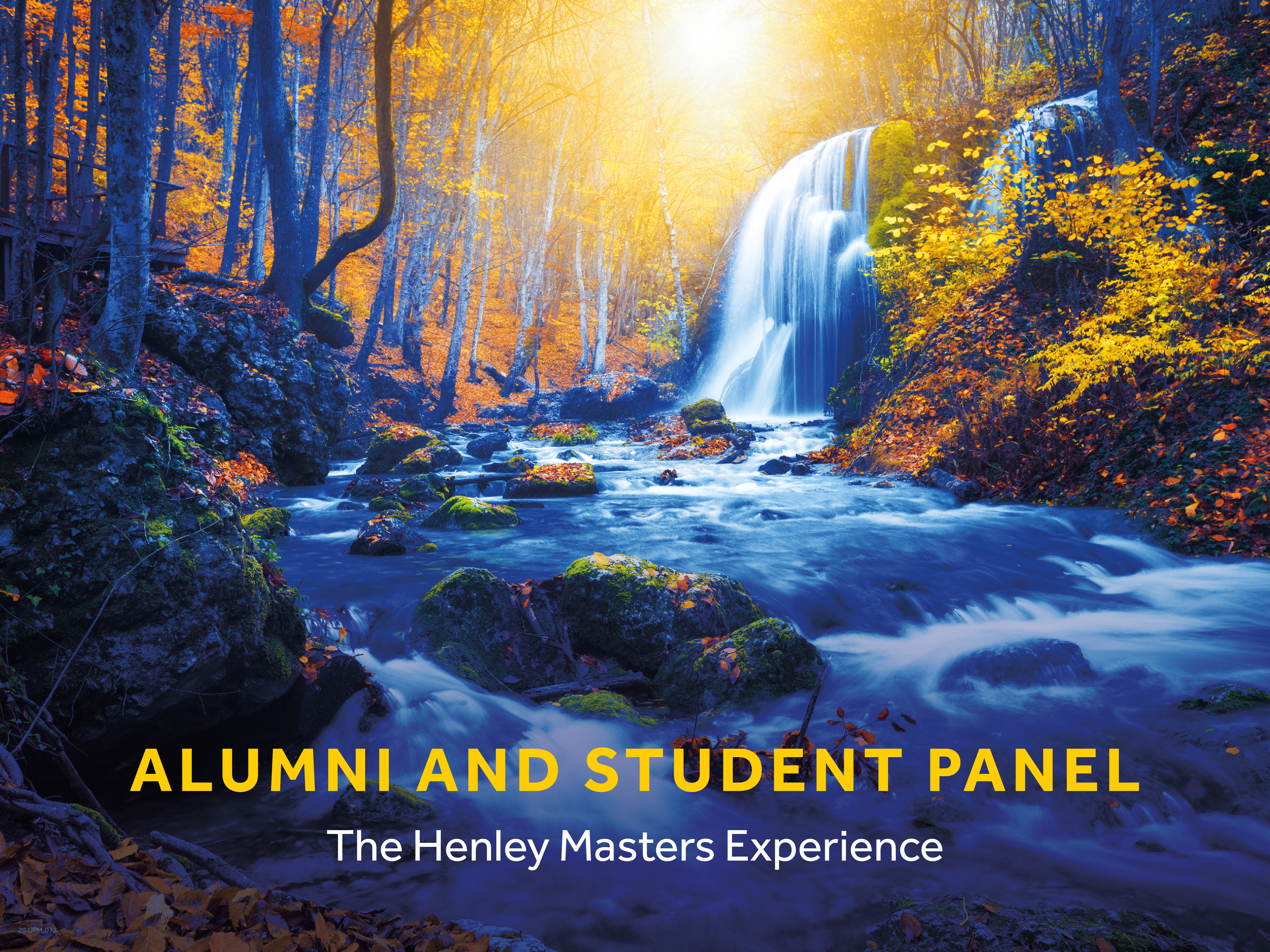 Alumni and student panel