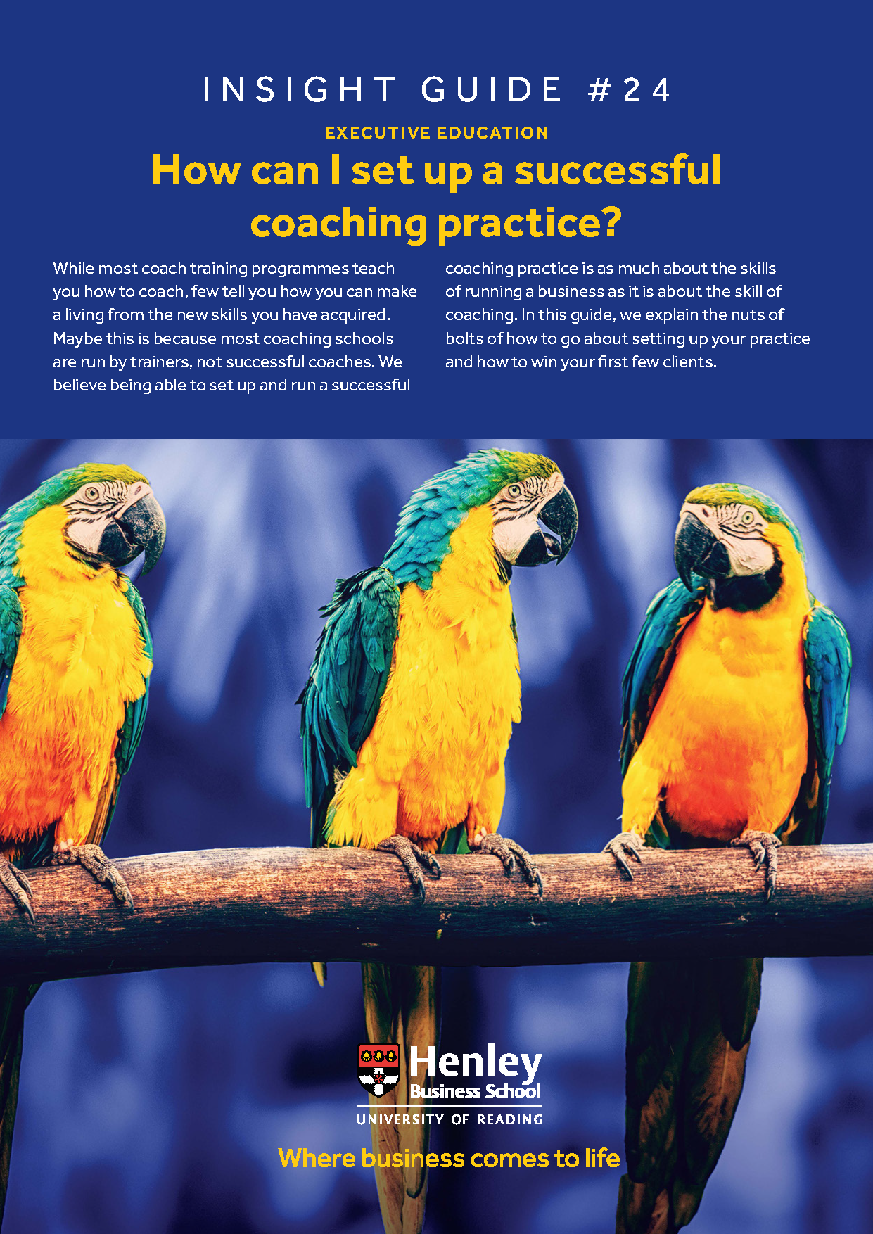 How can I set up a successful coaching practice?