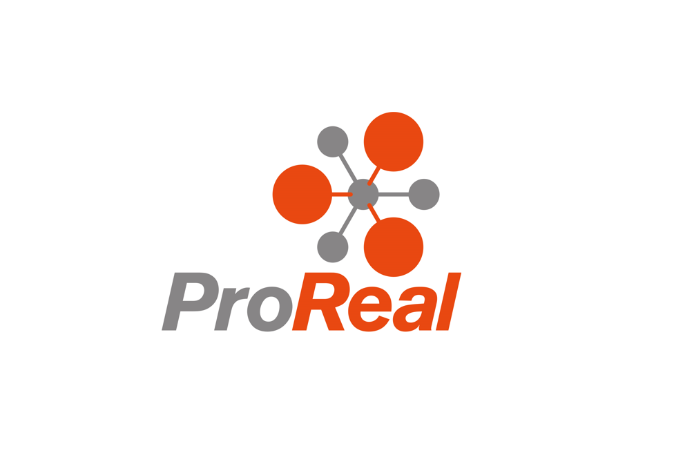 Pro real logo for HL