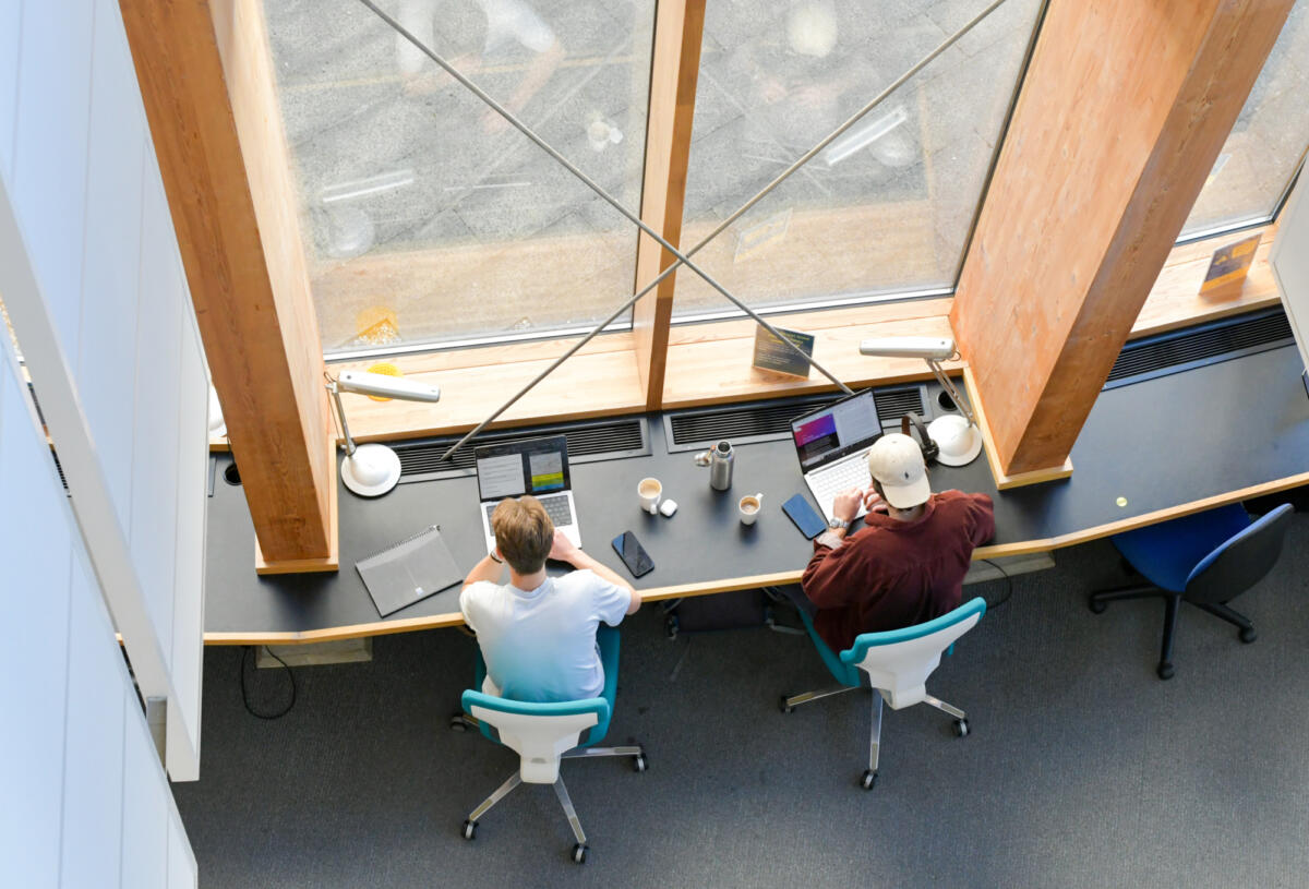 Embedding sustainability across the curriculum